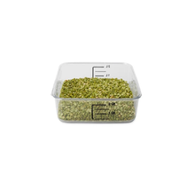 CONTENEDOR CUADRADO AHORRA ESPACIO, 2 QT